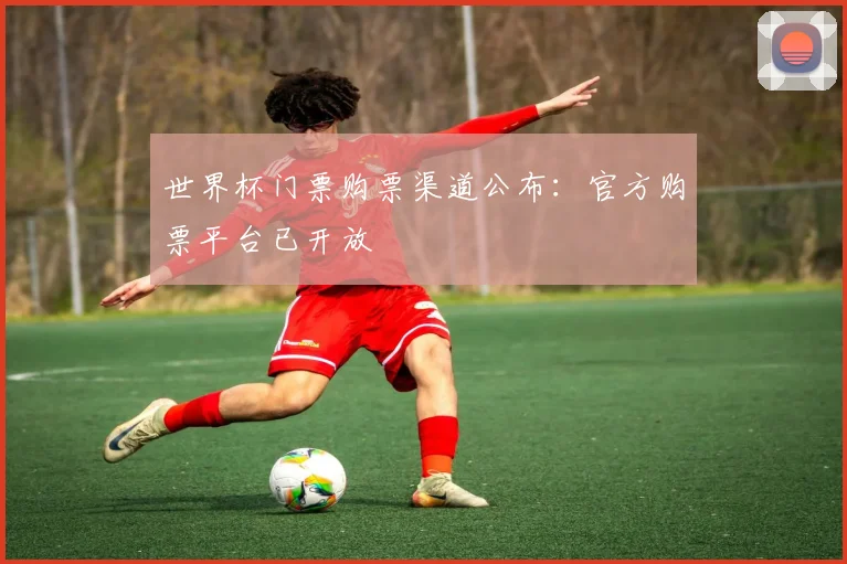 世界杯门票购票渠道公布:官方购票平台已开放