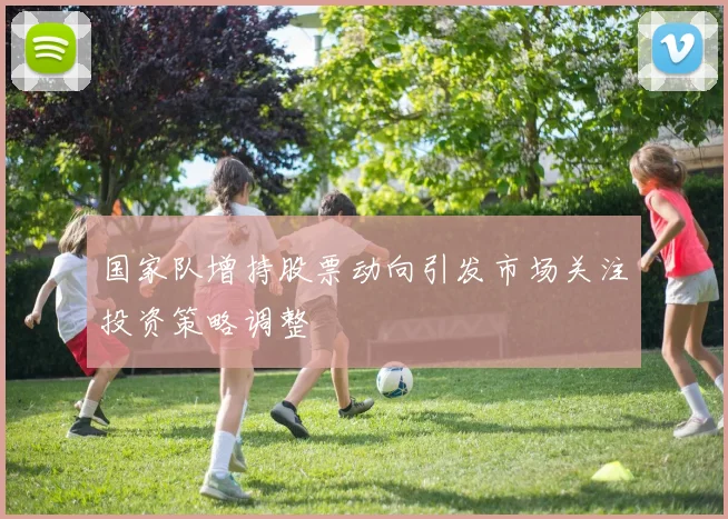 国家队增持股票动向引发市场关注投资策略调整