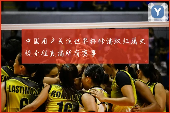 中国用户关注世界杯转播权归属央视全程直播所有赛事