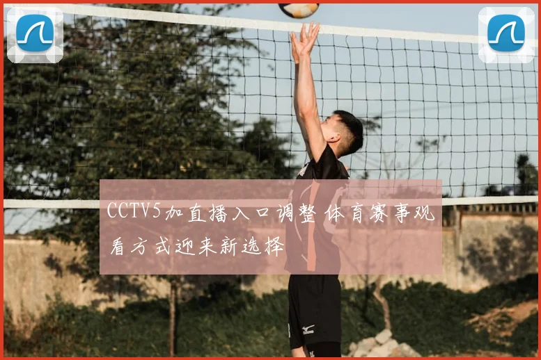 CCTV5加直播入口调整 体育赛事观看方式迎来新选择