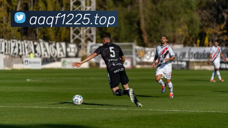 乐竞官网手机版平台生态图